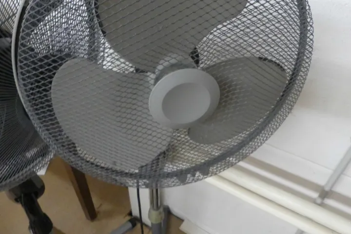 Thumbnail Bild'