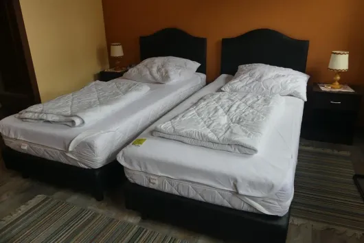 Bild von Los Nr. 242