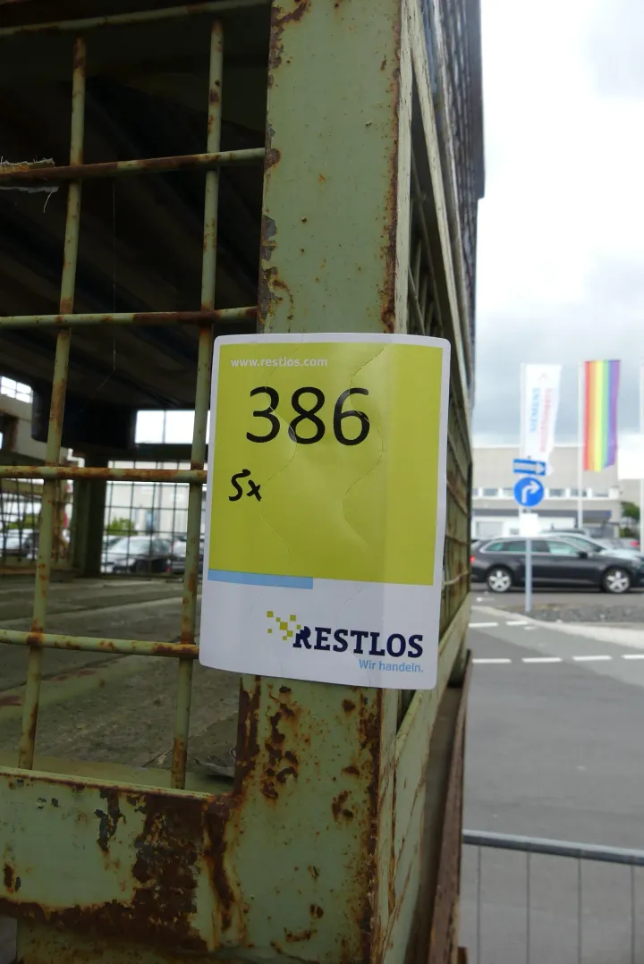 Bild