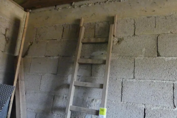 Thumbnail Bild'