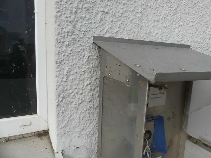 Thumbnail Bild'