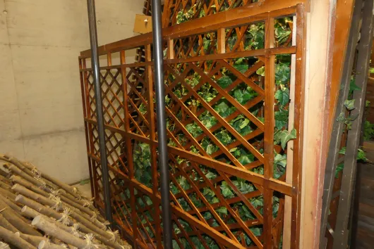 Bild von Los Nr. 204