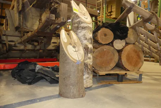 Bild von Los Nr. 232