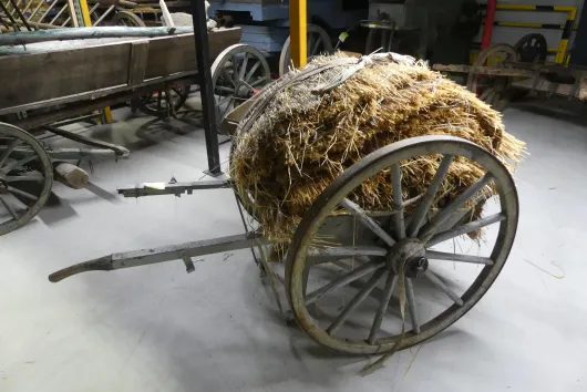 Bild von Los Nr. 252