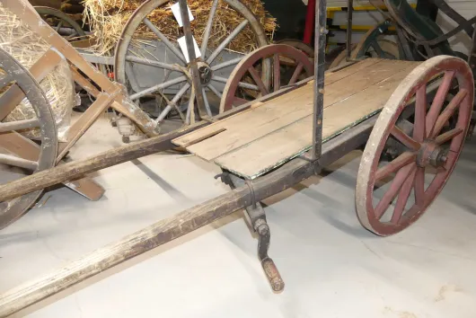 Bild von Los Nr. 255