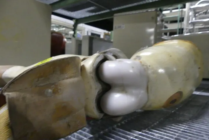 Thumbnail Bild'