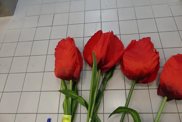 Thumbnail Bild'
