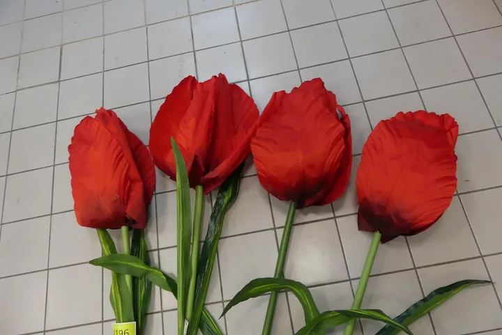 Thumbnail Bild'