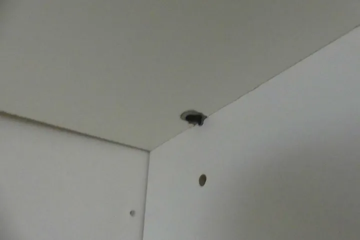 Thumbnail Bild'