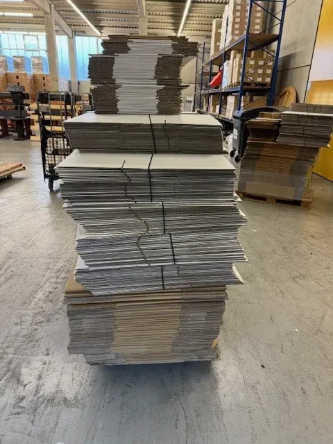 Bild von Los Nr. 309