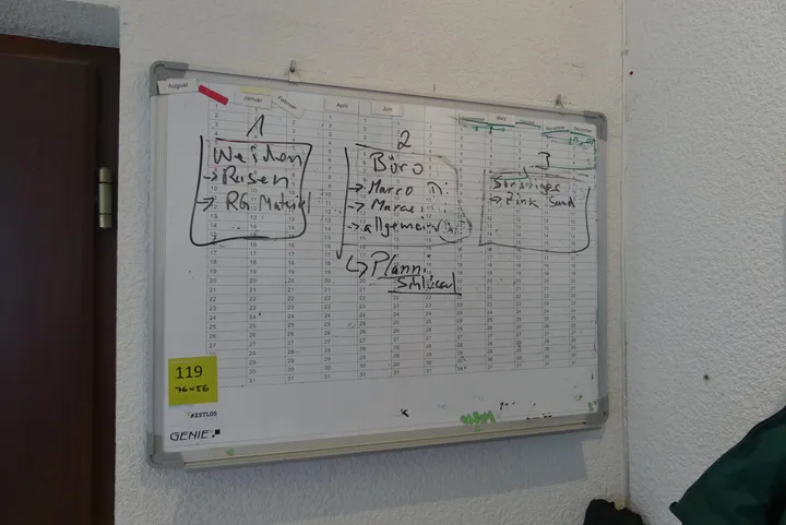 Bild