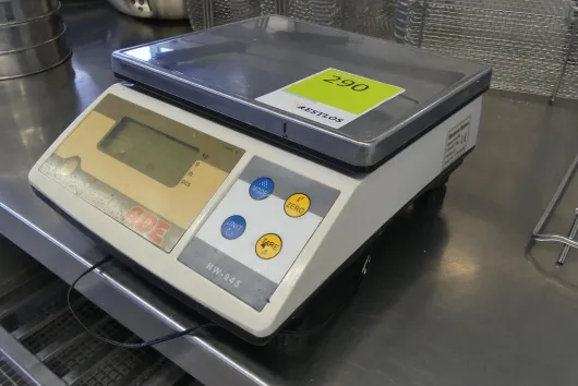 Bild von Los Nr. 290