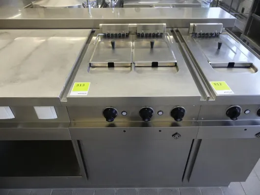 Bild von Los Nr. 313