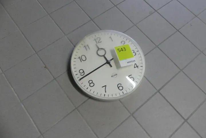Thumbnail Bild'
