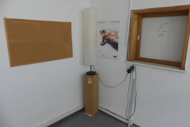 Bild