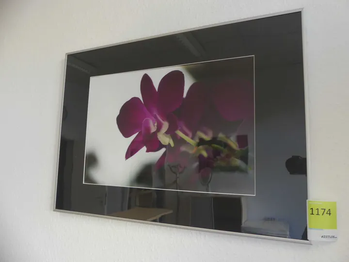 Thumbnail Bild'