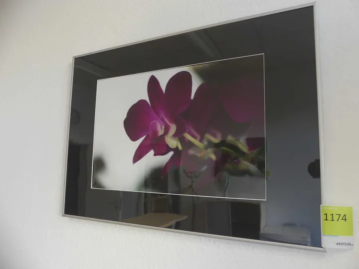 Thumbnail Bild'