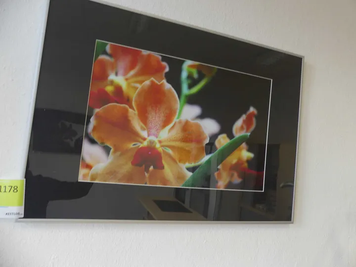Thumbnail Bild'