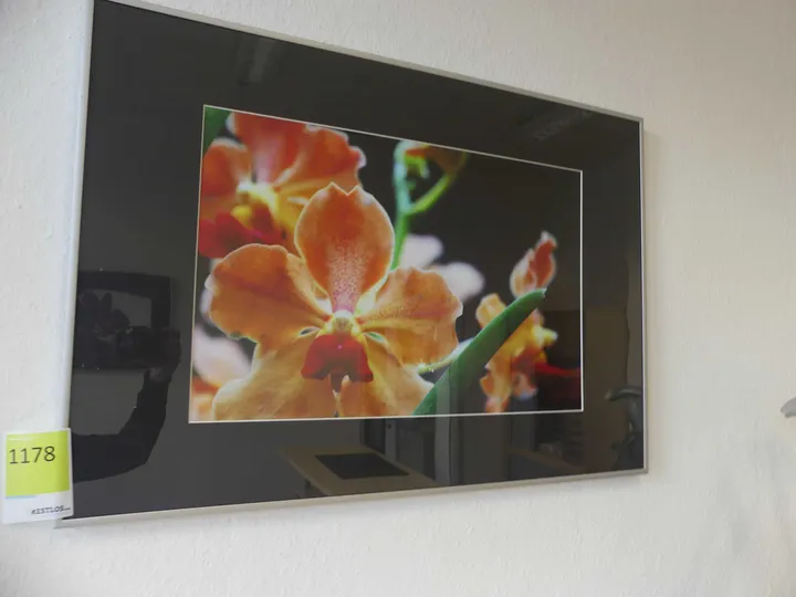 Thumbnail Bild'