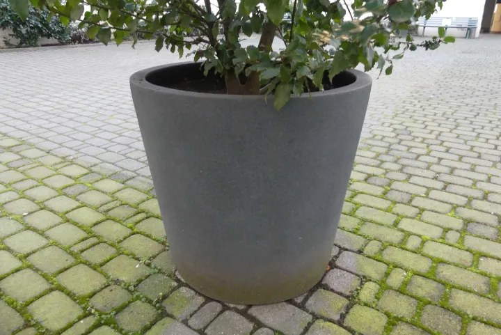 Thumbnail Bild'