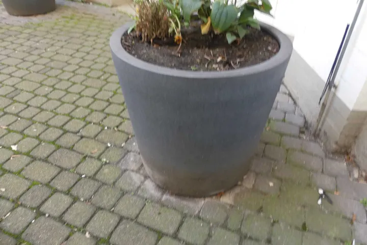 Thumbnail Bild'
