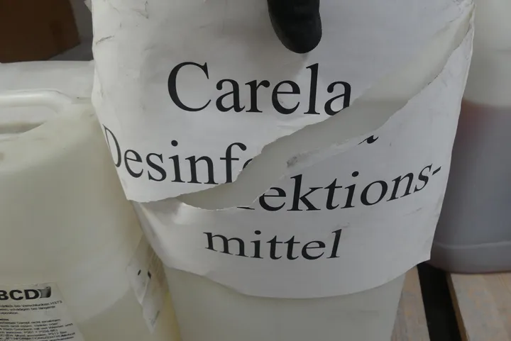 Bild