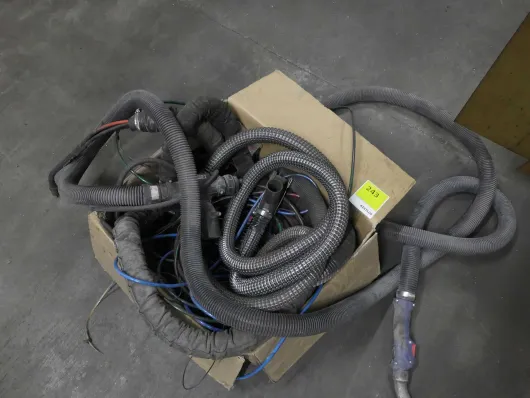 Bild von Los Nr. 243