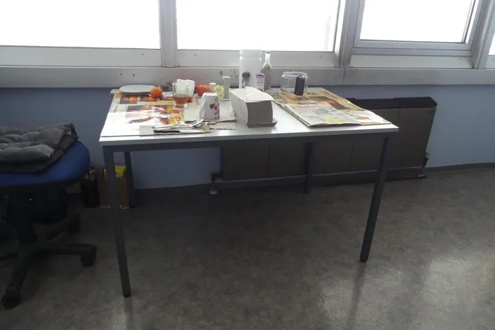 Bild