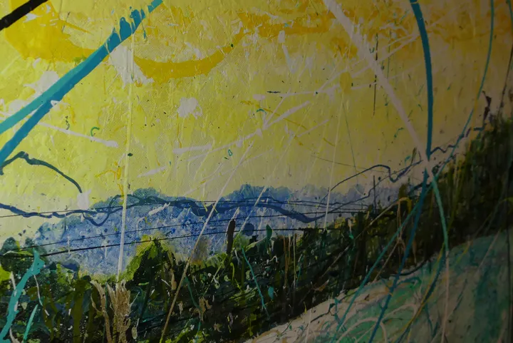 Bild