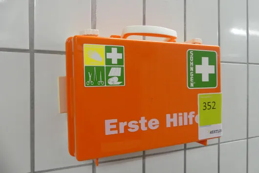 Bild von Los Nr. 352