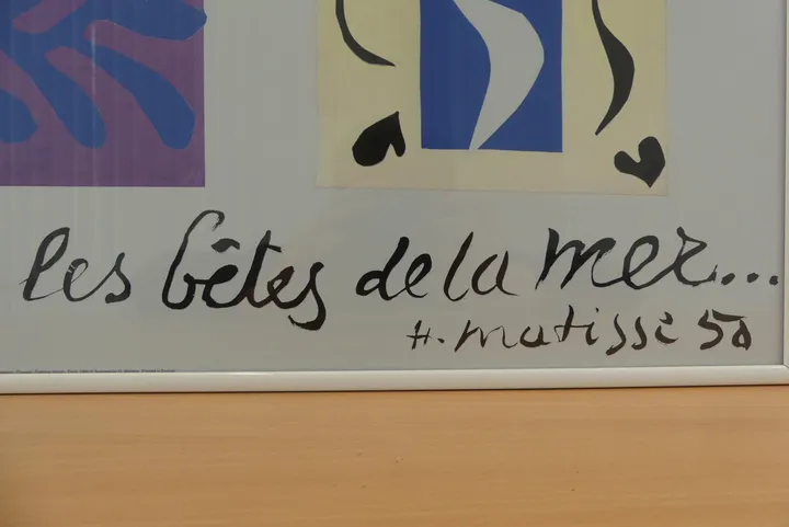 Thumbnail Bild'