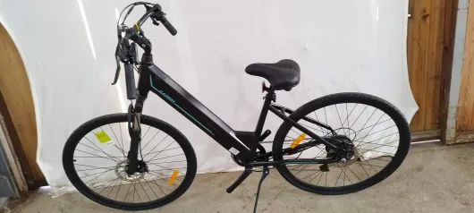 Bild von Los Nr. 111