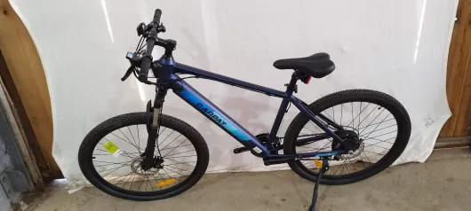 Bild von Los Nr. 118