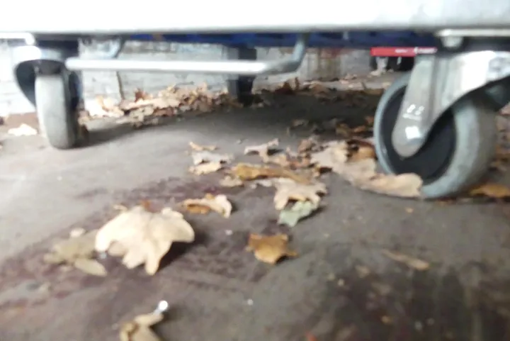 Thumbnail Bild'