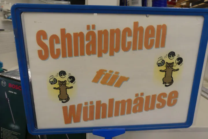 Thumbnail Bild'