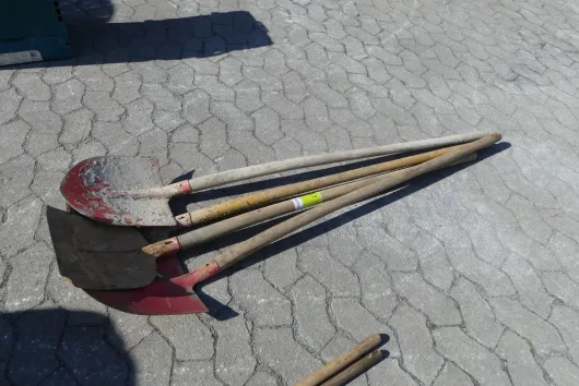 Bild von Los Nr. 117