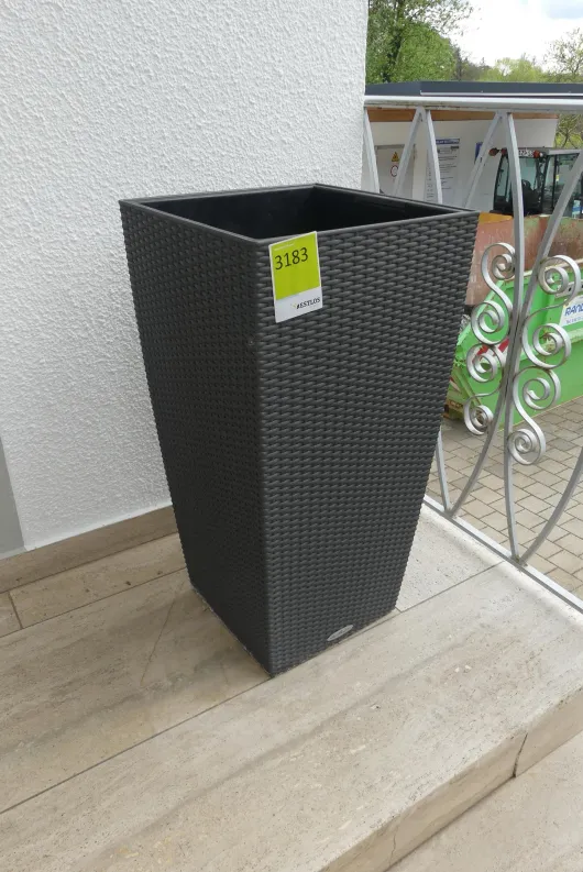 Bild von Los Nr. 3183