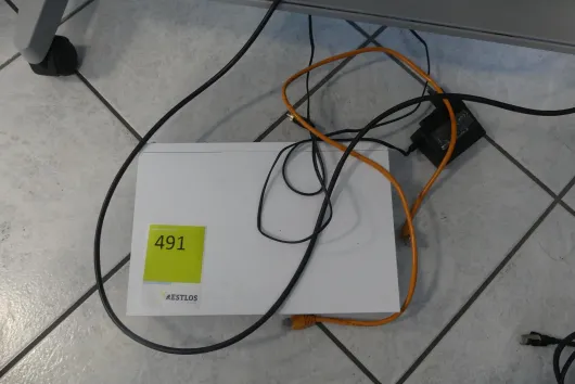 Bild von Los Nr. 491