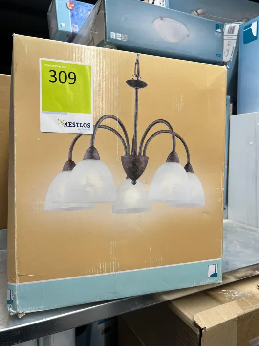 Bild von Los Nr. 309