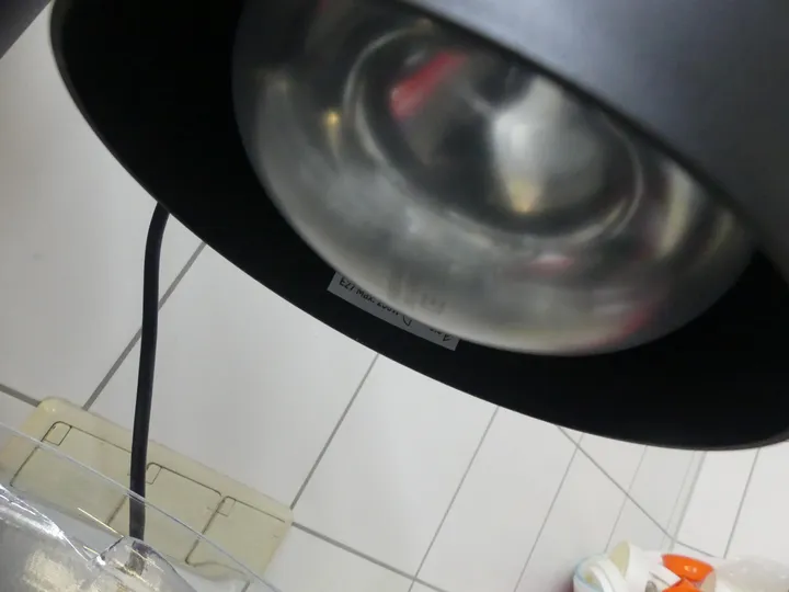 Thumbnail Bild'