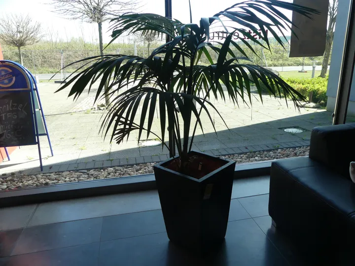 Thumbnail Bild'