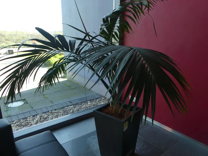 Thumbnail Bild'