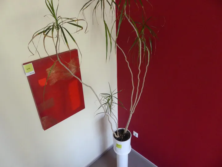 Thumbnail Bild'