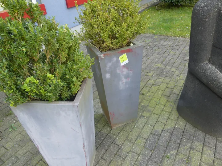 Thumbnail Bild'