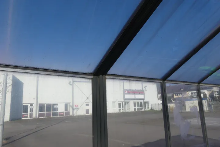 Bild