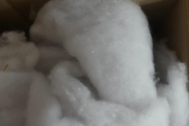 Thumbnail Bild'