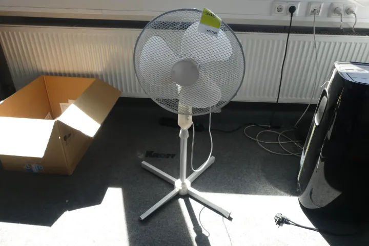 Bild