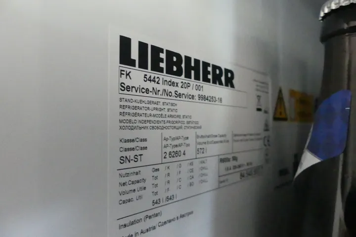 Bild