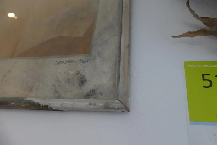 Thumbnail Bild'