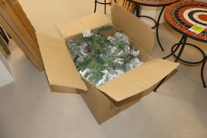 Bild